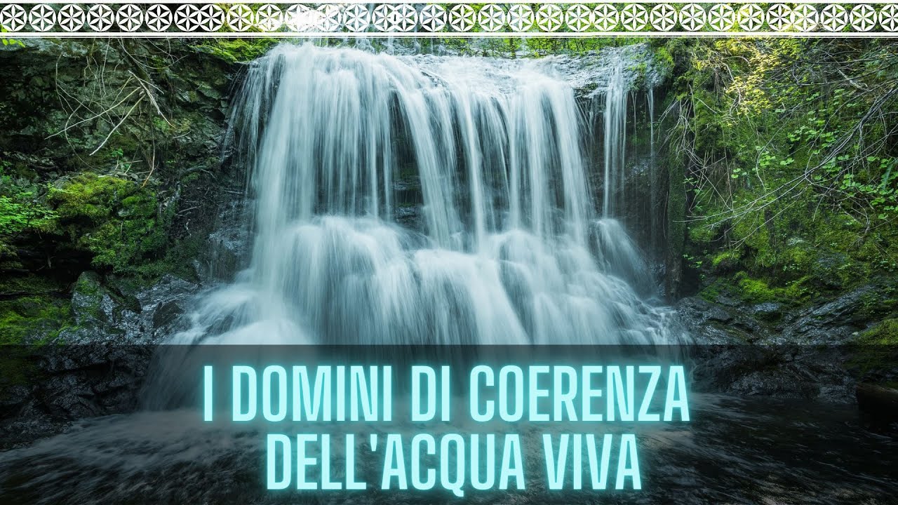 I DOMINI DI COERENZA DELL’ACQUA VIVA – VORTICI & RISONANZA (dagli studi di Emilio del Giudice)