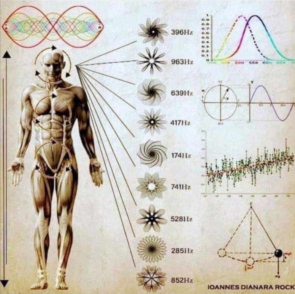 VALUTAZIONE ENERGETICA DEL CORPO UMANO