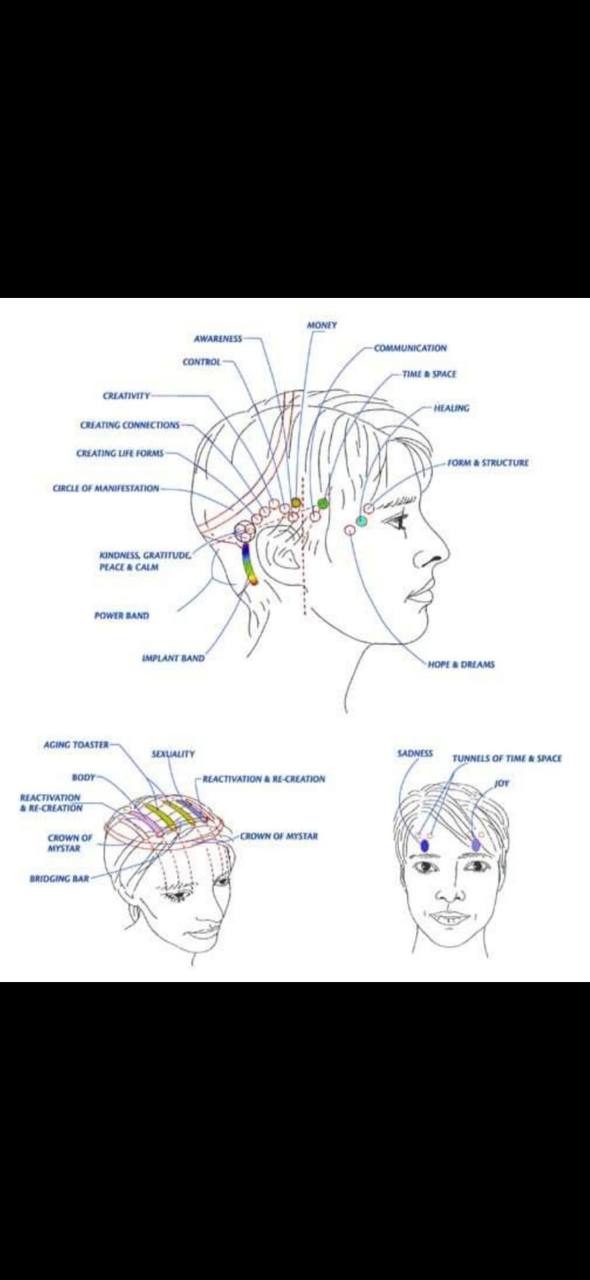 BIORISONANZA E I BARS