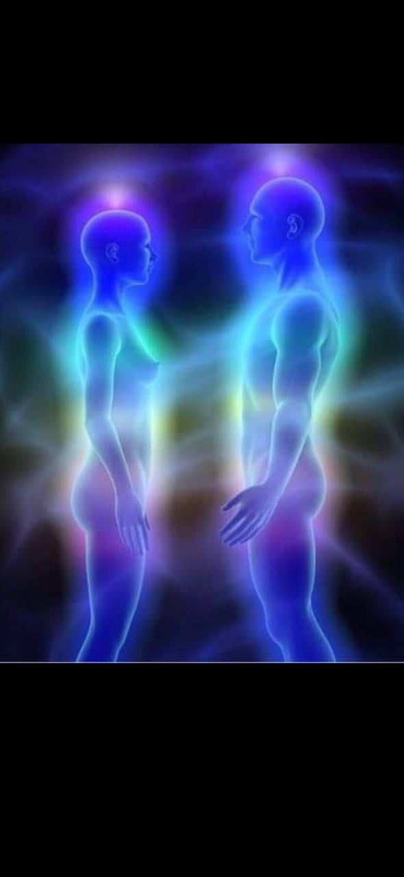 L’ENERGIA NON MENTE MAI